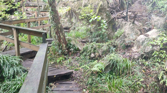 Reviews of Kawiti Glowworm Caves in Kawakawa - Museum