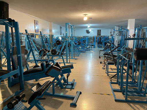 GYM BLANSER - Thumbnail