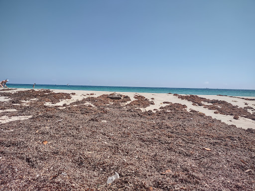 Dania Beach - Visual