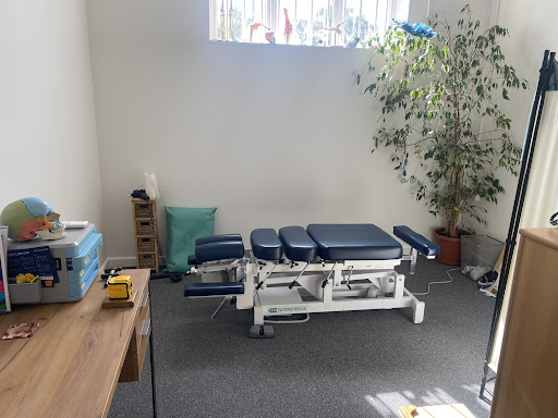 Spring Chiropractic