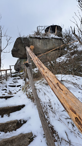 Waldsteinwichtel - Visual