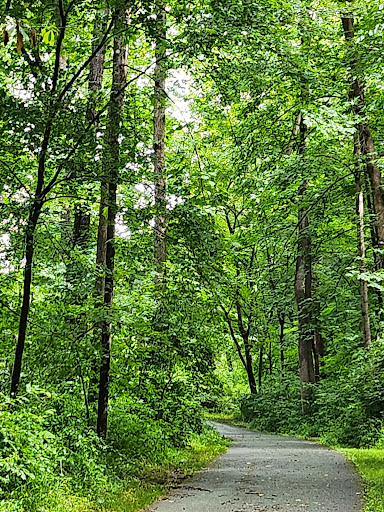 Parking Rock Creek Regional Park - Thumbnail