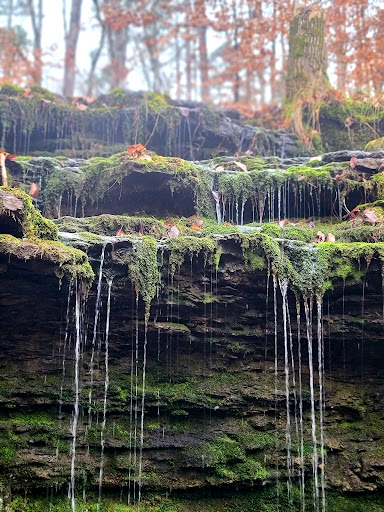 Sally Ann Hollow Quads Gallery - United States