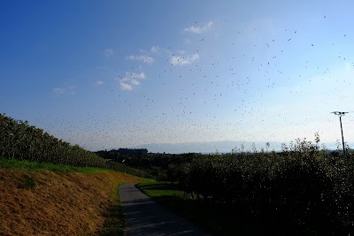 Photos of Bauernpfad Kressbronn
