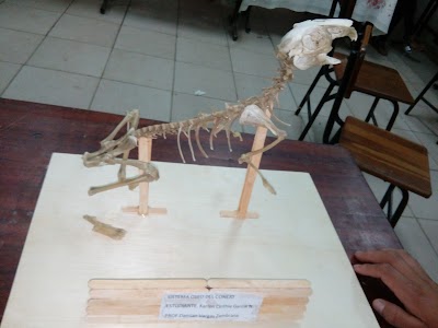 Photos of Creativa Tortas
