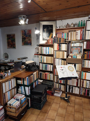 La Langue Des Oiseaux