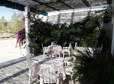 Photos of Restaurante El Almendral