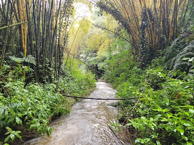 Akaka Falls State Park