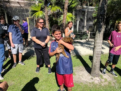 Photos of McCarthys Wildlife Sanctuary