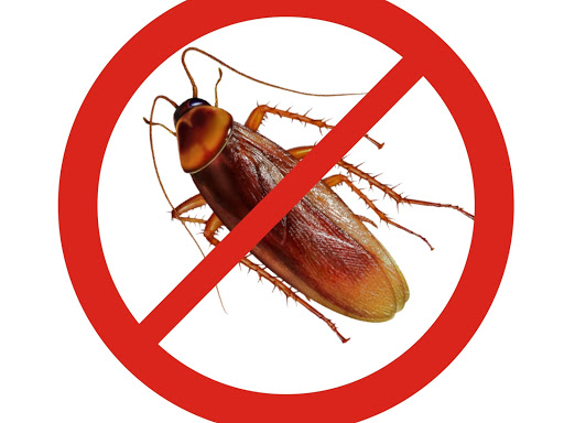 Call us for Cockroaches control post image
