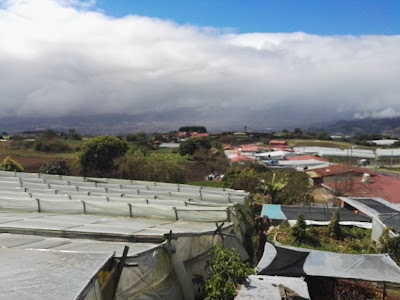 Photos of Jardiner&iacute;a Cede&ntilde;o