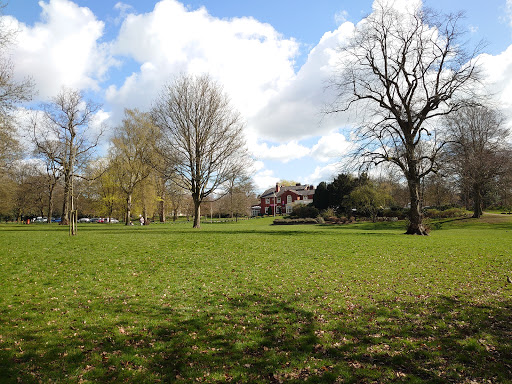 Brampton Park - Visual