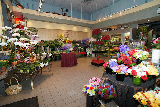 Ariston Floral Boutique Gallery - United States