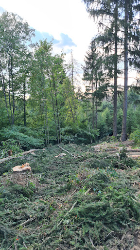 Zinsenbach Quelle - Thumbnail