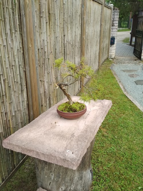 Baltic Bonsai Park
