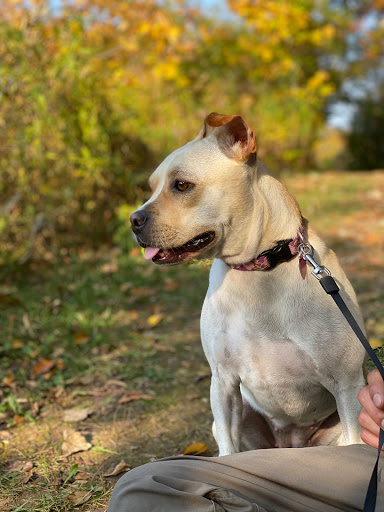 Clark County Humane Society