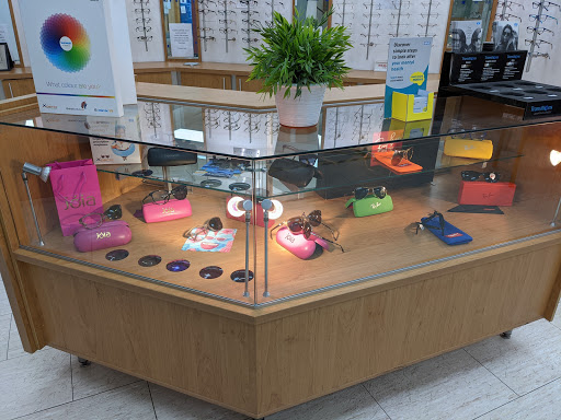 Focus Optics - Visual