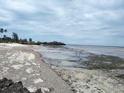 Photos of Msambweni Beach House And Villas