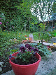 Photo n°8 de La Maison de Raph à Villeneuve-d'Olmes (Chambre d'hôtes)