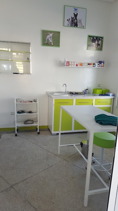 Photos of Cabinet V&eacute;t&eacute;rinaire El Gharb