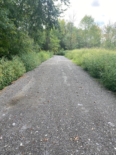 Howland Wildlife Preserve Trail Boardwalk Gallery - United States