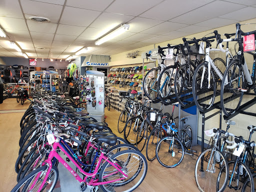 Riverfront Cycle - Visual