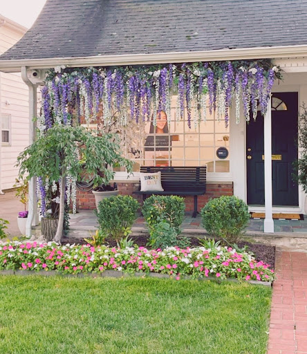 Elixir Aesthetic - Visual