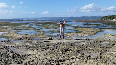Photos of Alas Purwo National Park Office