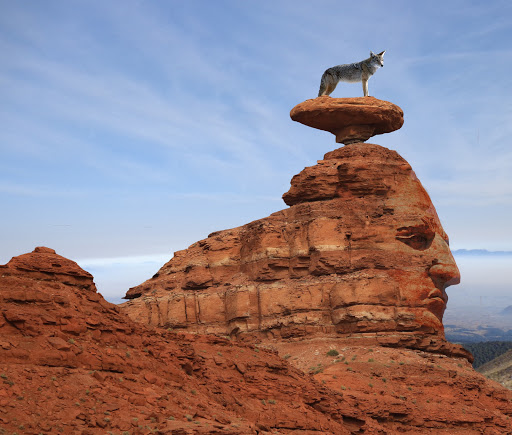 RentaTent Sedona/Sedona Camping& Hiking Expert - Thumbnail