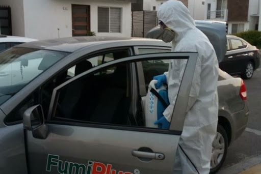 Fumiplus Gallery - Mexico