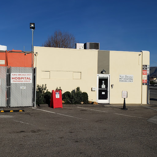 San Bruno Pet Hospital - Thumbnail