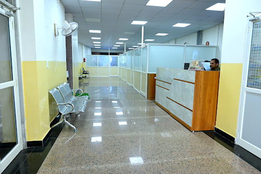 Gallery image 41