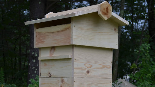 Buzzing Rooster - Visual