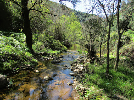 Sendero de Guadalora - Thumbnail