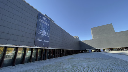 Auditorio Baluarte - Visual