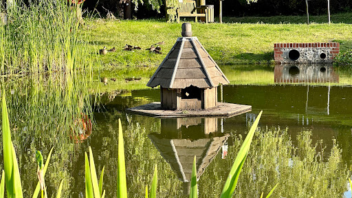 Pond - Visual