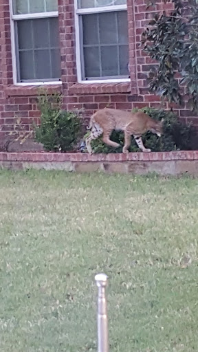 Greenville Heights Park - Thumbnail