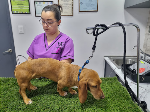 VETERINARIA "CORSARIO"