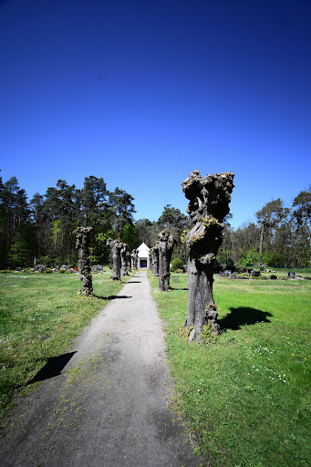 Friedhof Saalhausen