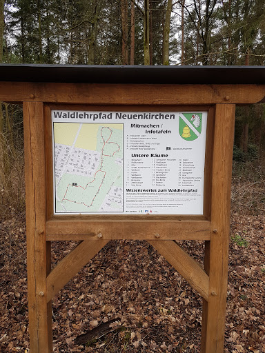 Waldlehrpfad Neuenkirchen - Thumbnail