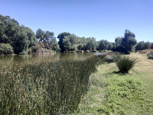 Meandro Río Guadiana