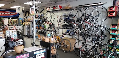 Fenwick Islander Bicycle Shoppe