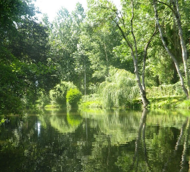 Office de Tourisme Saintonge Dorée - Bureau d'information de Saint-Jean d'Angély