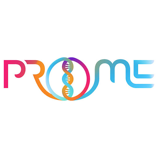 Promè - Visual