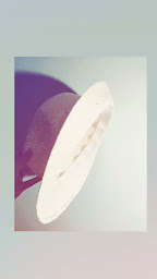 Photo n°44 de Chapeaux, Froufrous & Paillettes (sur RV uniquement) à Bougival (Chapellerie)