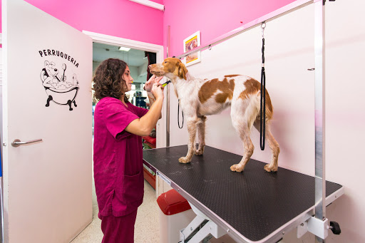 NG Centre Veterinari Calella