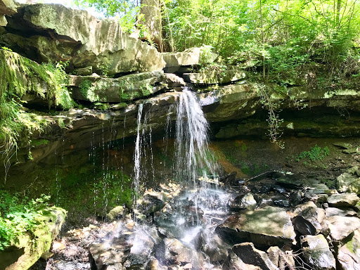 Town Springs