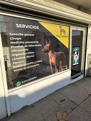 Xolo’s veterinaria