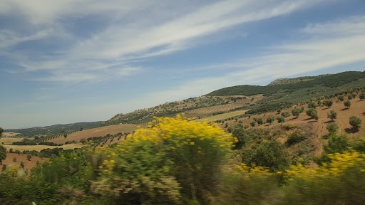 EL CHATINO