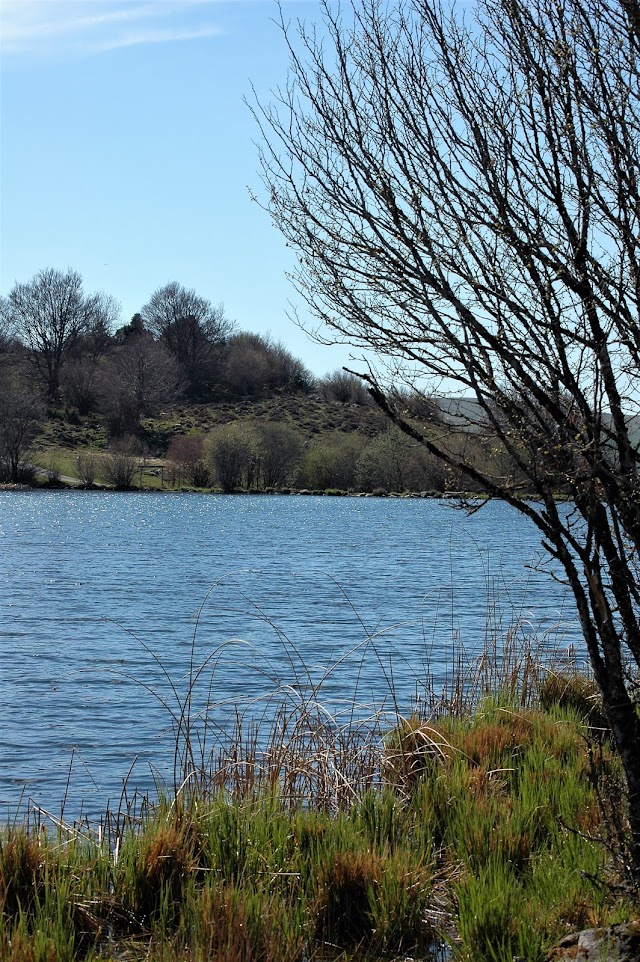 Restaurant Du Lac Sauvage